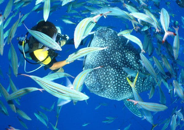 使用方法の練習