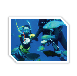 ファンダイビング